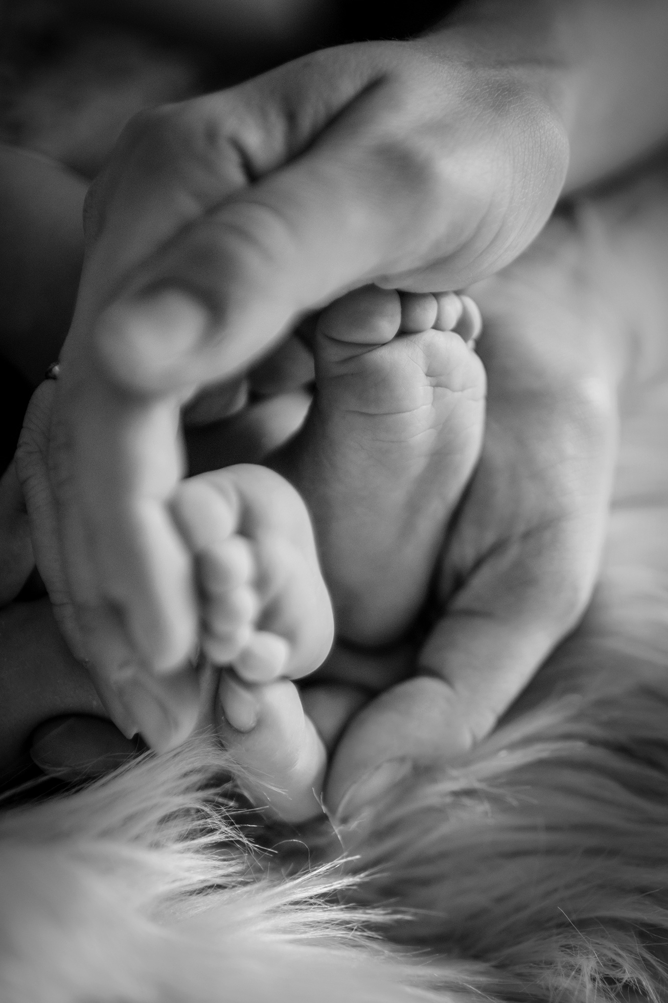 st_photographie_newborn_family_baby