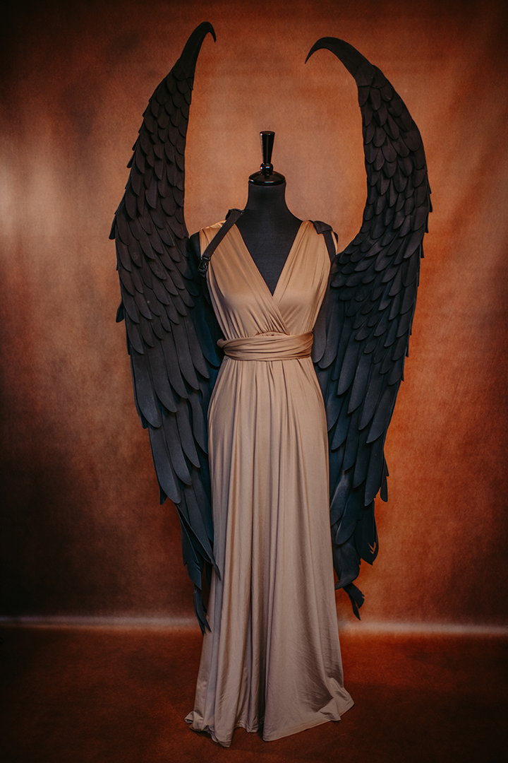 st_photographie_fundus_fluegelfundus_fluegel_035_wings st_photographie_fundus_fluegelfundus_fluegel_wings_angel_engel_dämon